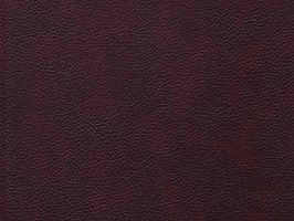 Leather Upholstery 南亞呼吸系列 皮革 沙發皮革 3851 深咖雲彩